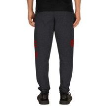 Load image into Gallery viewer, Unisex BETA Academy Jiu Jitsu Joggers