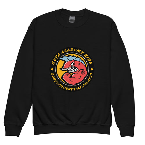 BETA Youth crewneck sweatshirt