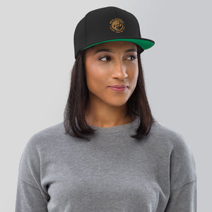 BETA Snapback Hat